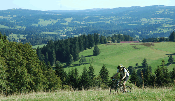 Le juras en v�lo de montagne
