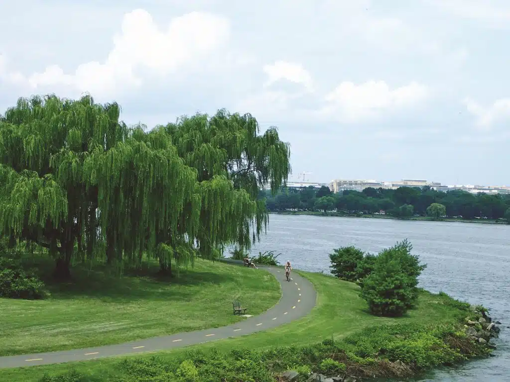 Mount Vernon trail