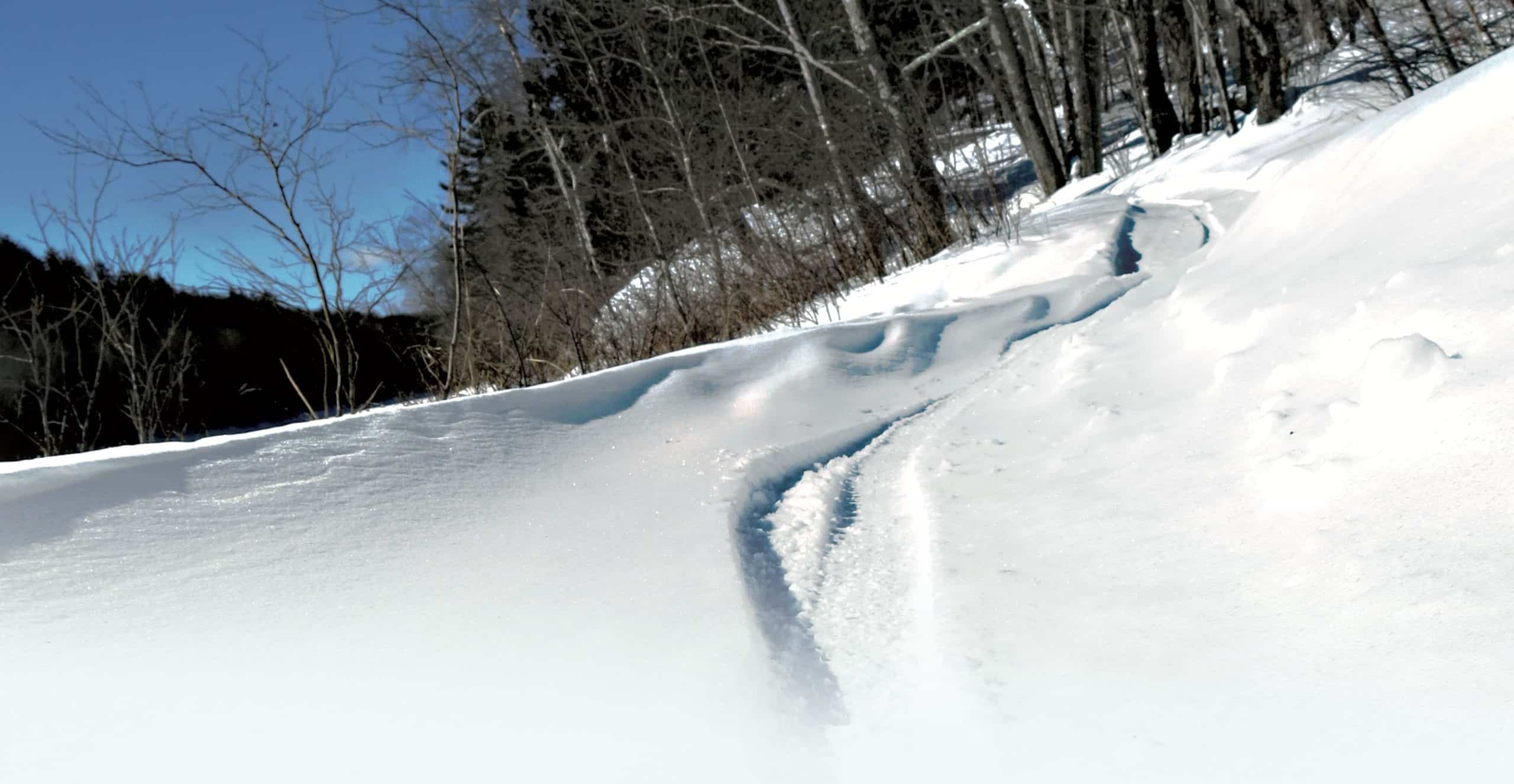 Fatbike lire la neige