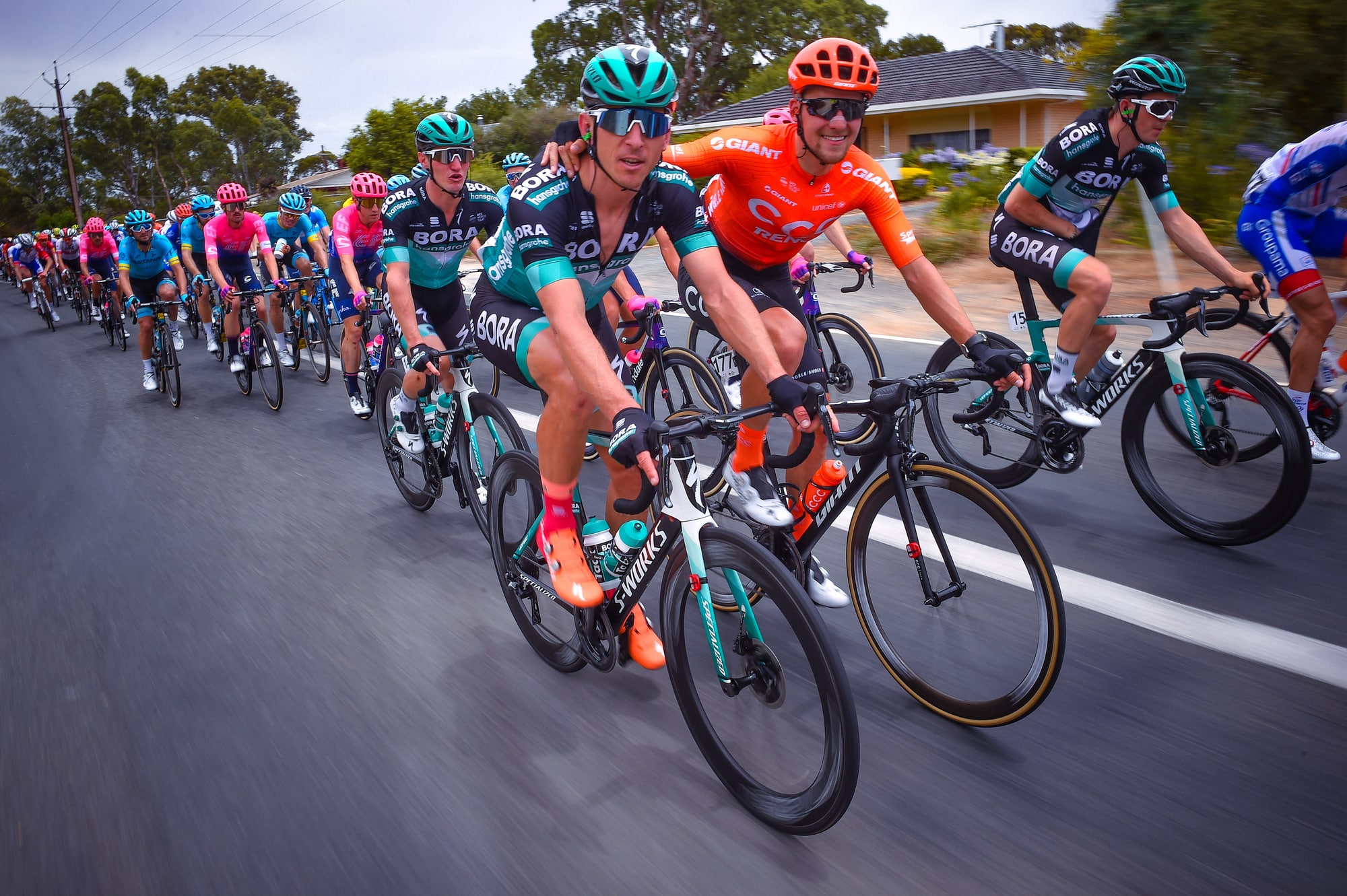 Tour du web - Santos Tour Down Under 2019