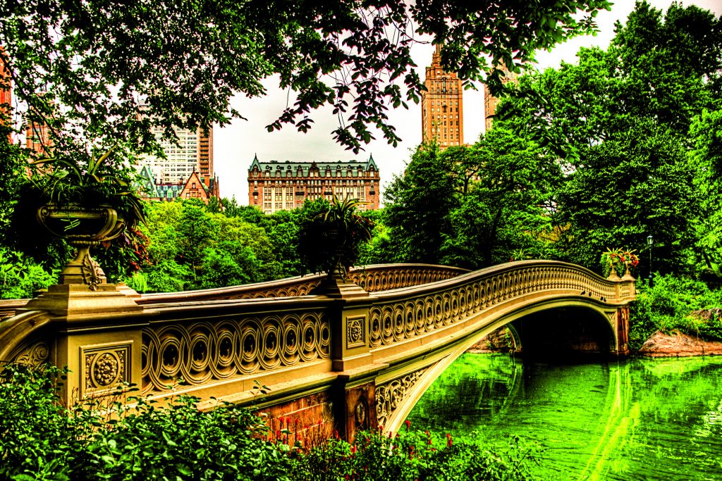 Bow bridge, Central Park cycling
