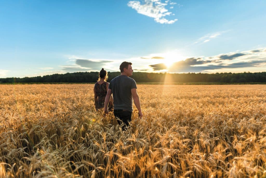 ouple dans champ a l'ile d'orleans