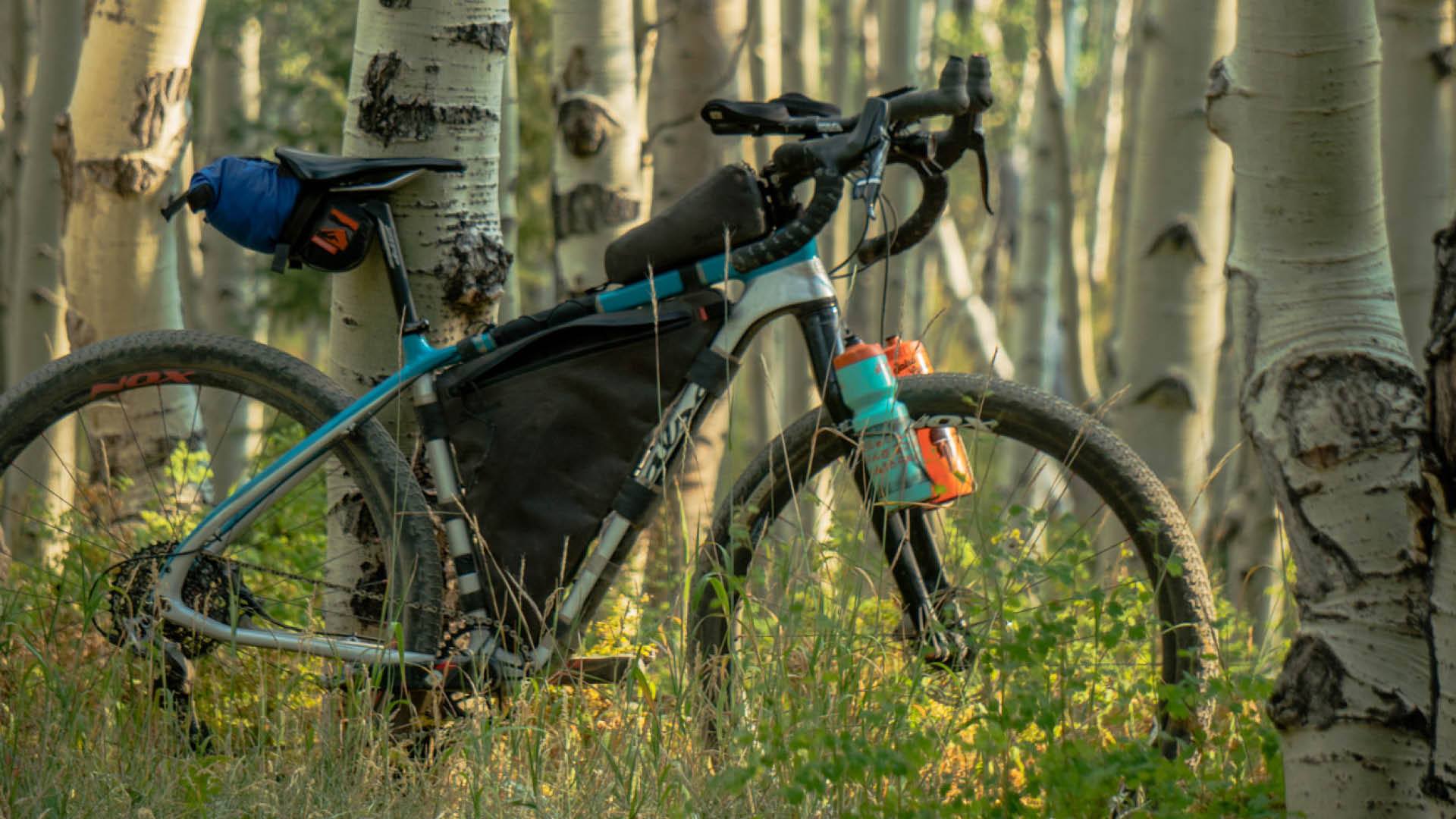 Bikepacking best bike