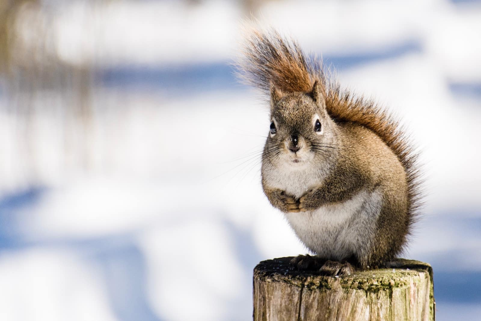 Nutrition hiver prise de poid