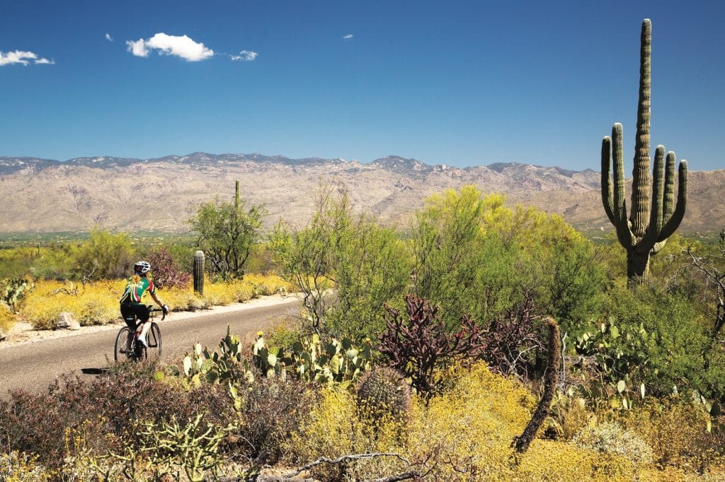 tucson vélo soleil