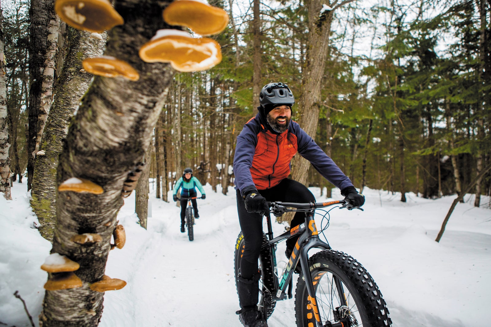 accessoires fatbike 2019