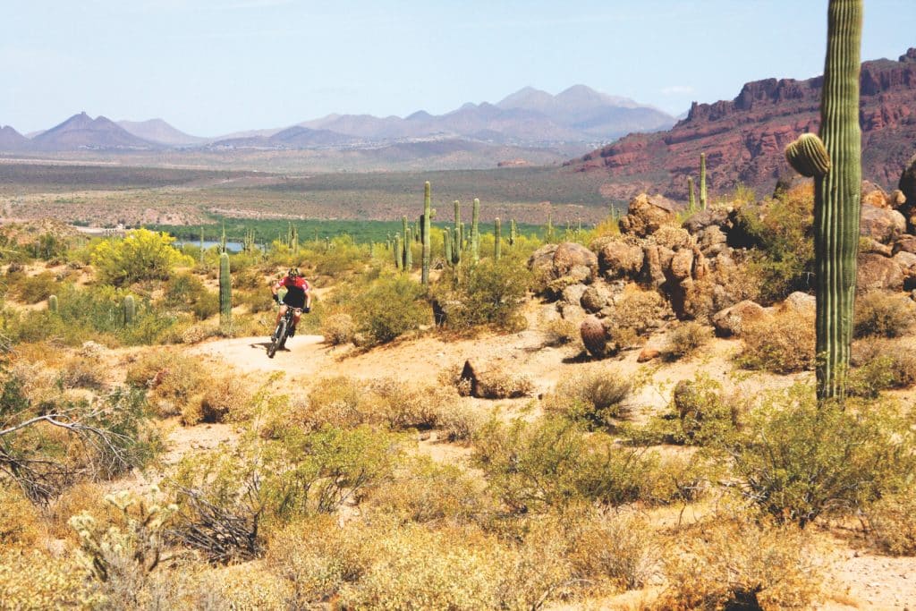 Phoenix à vélo