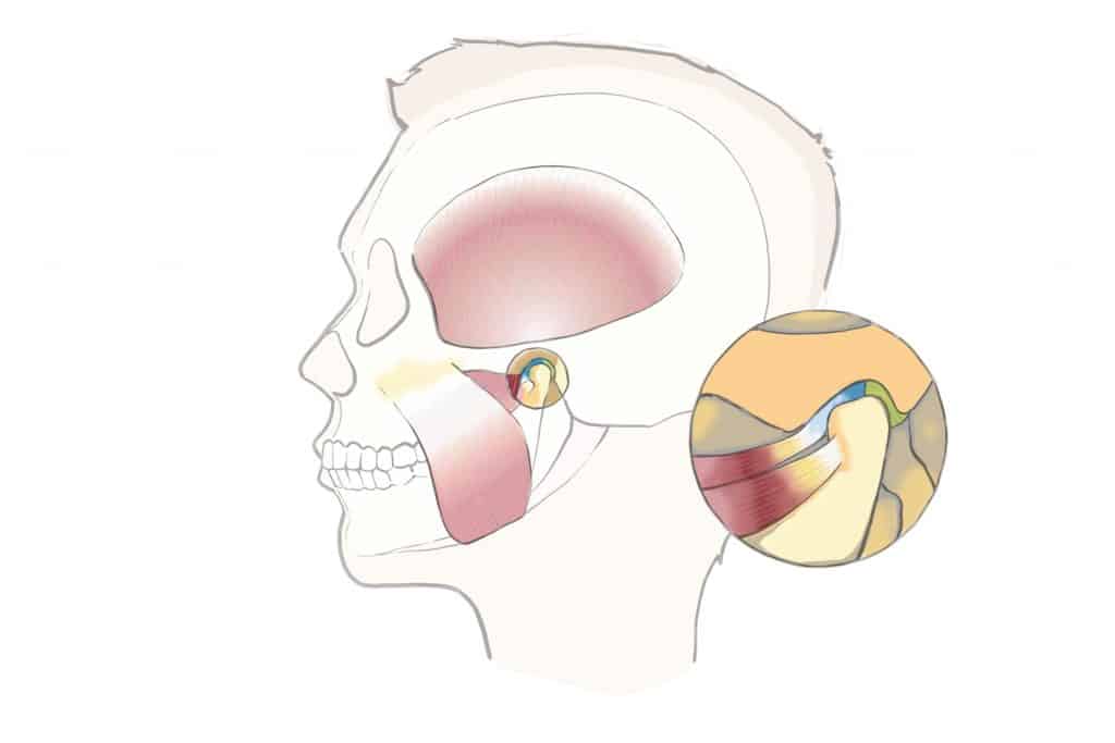 L'influence de votre mâchoire sur vos douleurs  Douleur à la mâchoire,  Anatomie du corps, Douleur