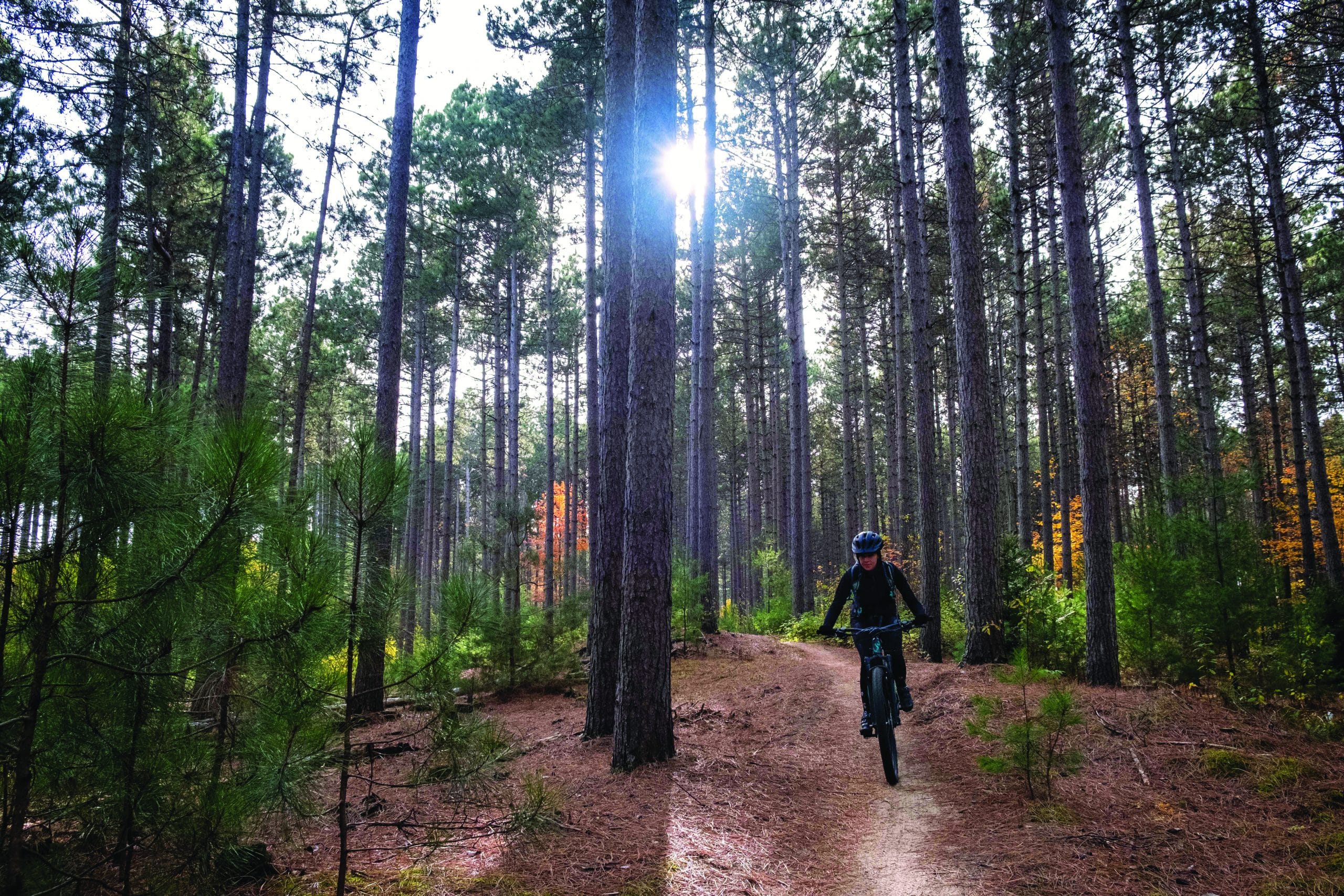 Les sentiers battus de la forêt Larose Vélo Mag