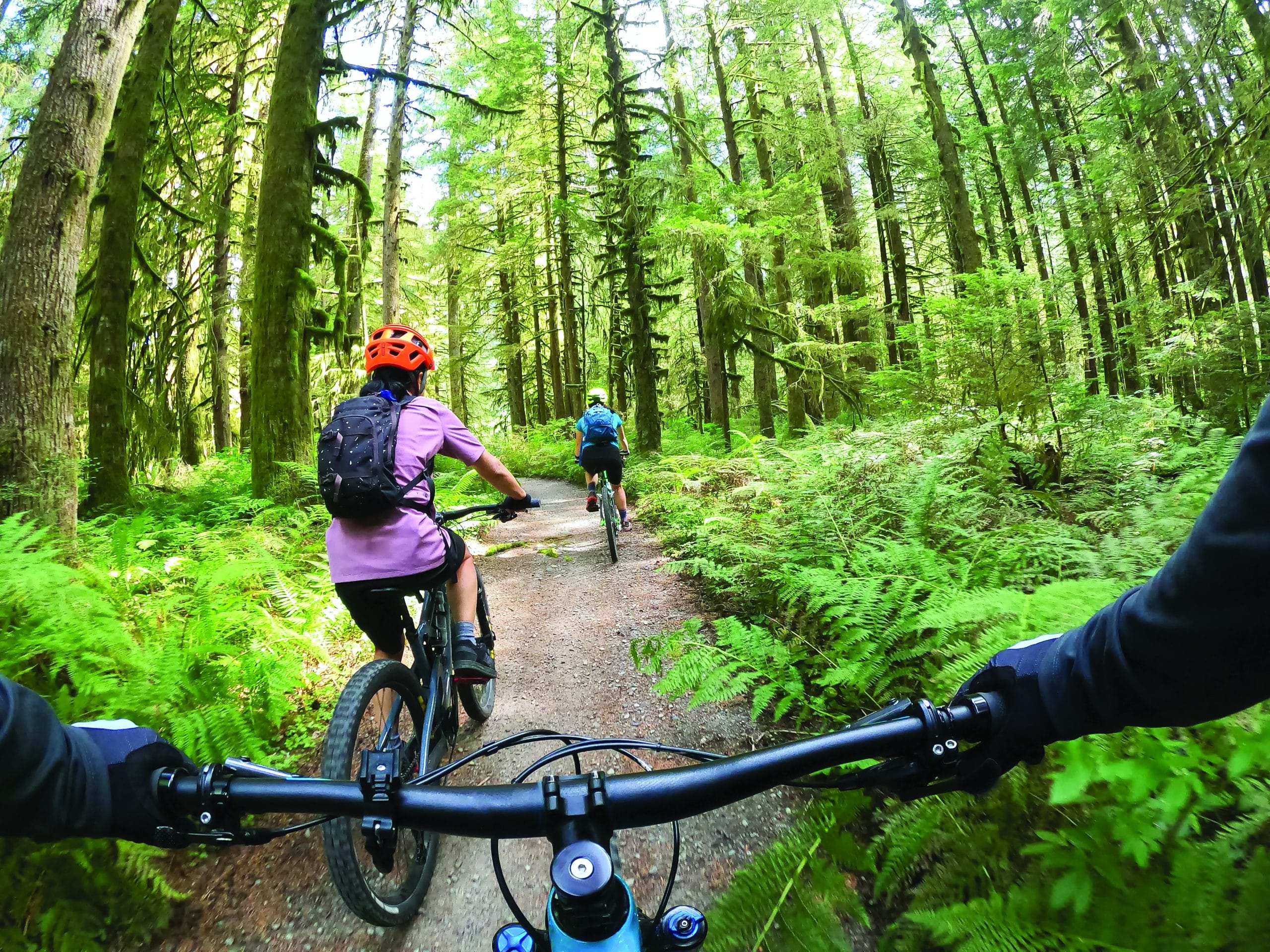 Cycliste vert online