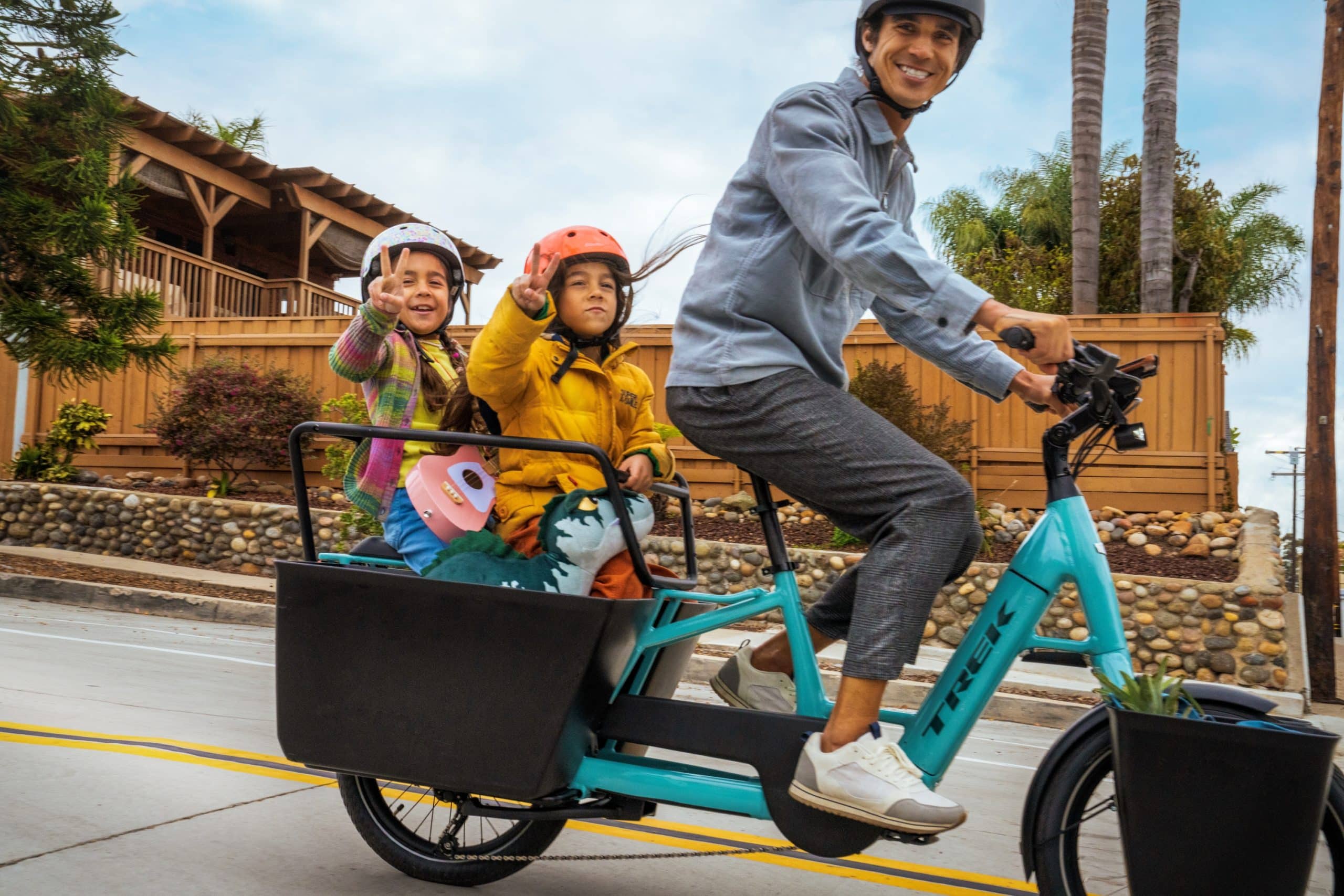 Vélos cargo online