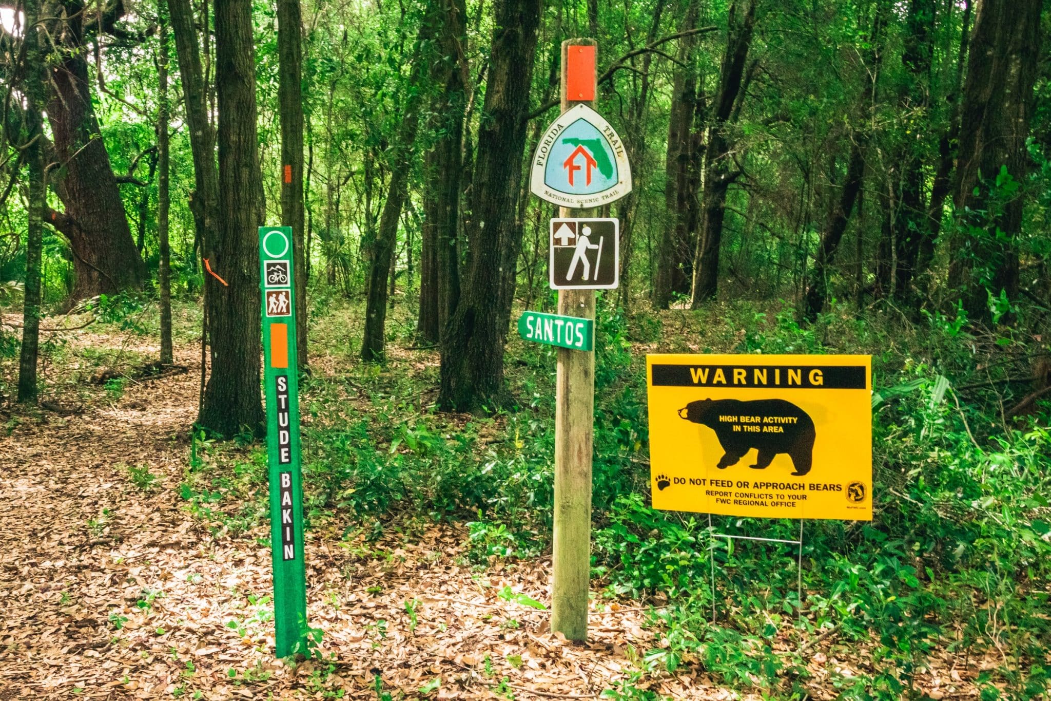 bikepacking-aventure-v-lo-au-c-ur-de-la-floride-v-lo-mag
