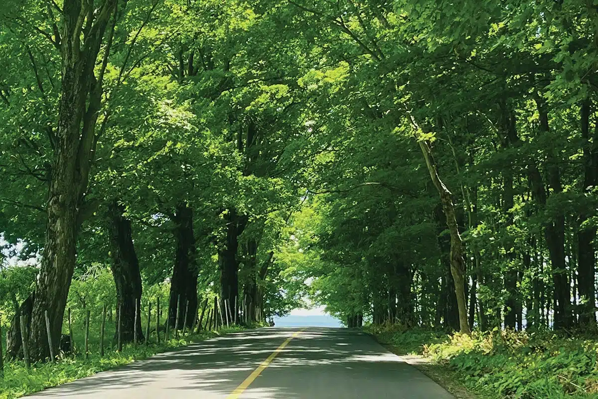 La route du Mitan offre une belle traversée sportive de l’île.