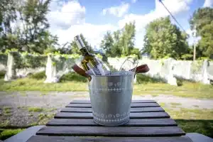 Vignoble Le Mas des Patriotes, en Montérégie